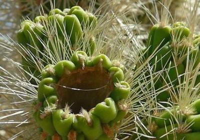 送给女性朋友的祝福语(推荐60句)