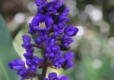 送老师杯子的祝福语(50句)