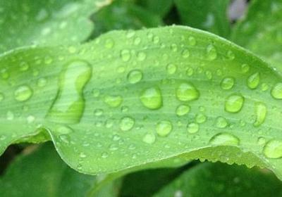 送朋友回家的祝福语(通用80句)