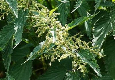 送朋友一路顺风祝福语(通用40句)