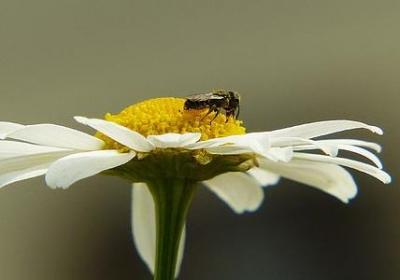 送别朋友的祝福语(实用80句)