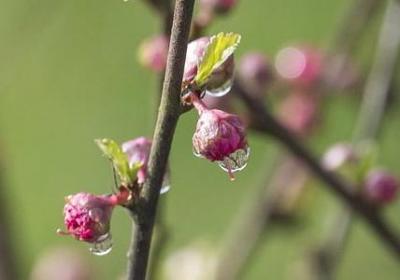 送给同事的生日祝福语(40句)