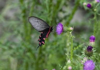 送给男士的生日祝福语(实用70句)