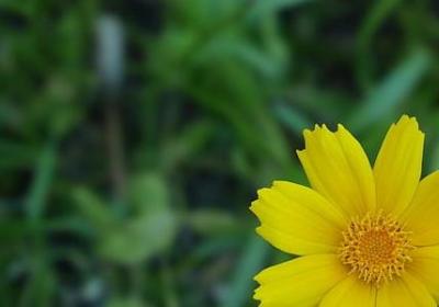 送给孩子的祝福语(推荐50句)