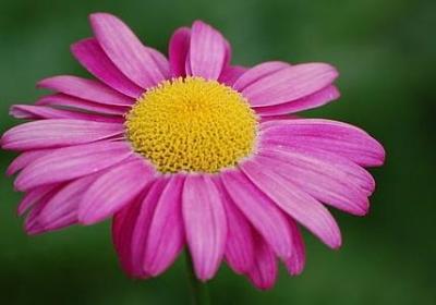 送给美女的祝福语(通用60句)