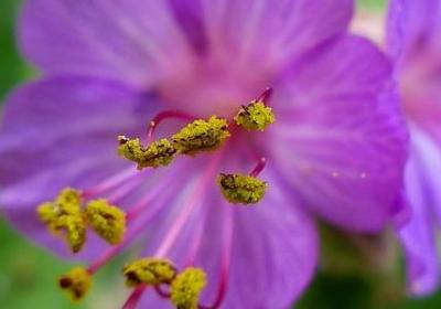 银行祝福语大全简短(热门90句)