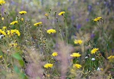 预祝比赛成功的祝福语(热门50句)