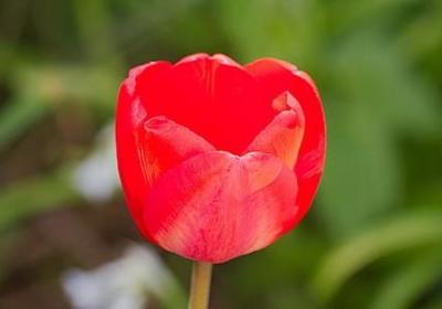 预祝相亲成功的祝福语(推荐60句)