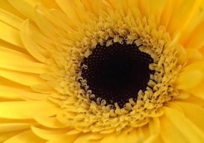 闺蜜服装店开业祝福语(推荐40句)