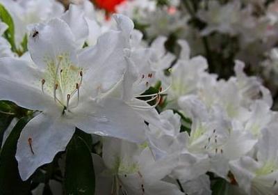 送闺蜜的生日祝福语(40句)