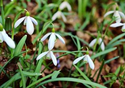 闺蜜生日的祝福语(优选50句)