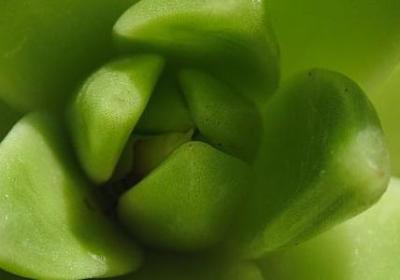 预祝考试顺利的祝福语(必备60句)