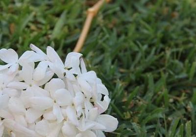 嘲讽别人的句子(优选70句)