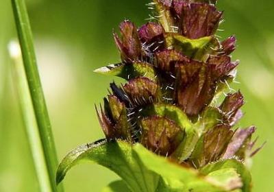 闺蜜卡片祝福语大全(必备60句)