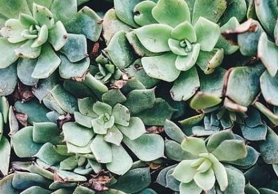 闺蜜18岁生日祝福语(汇总40句) 闺蜜18岁生日祝福语(汇总40句)