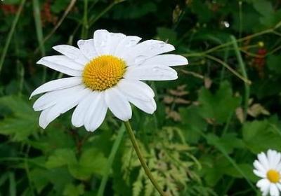 颁奖祝福语(汇总50句) 颁奖祝福语(汇总50句)