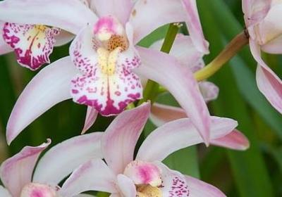 驾照考试成功的祝福语(汇总40句) 驾照考试成功的祝福语(汇总40句)