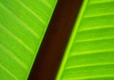 青春期14岁生日祝福语(实用50句) 青春期14岁生日祝福语(实用50句)