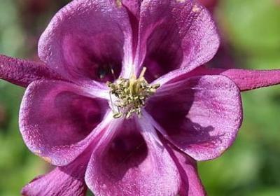 面试的祝福语(精选50句) 面试的祝福语(精选50句)