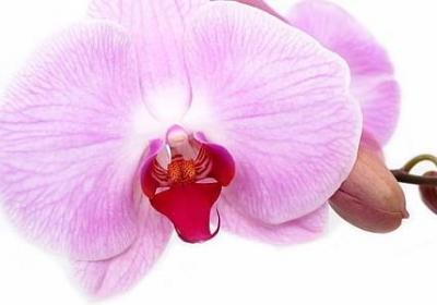 逗比结婚祝福语(汇总40句) 逗比结婚祝福语(汇总40句)