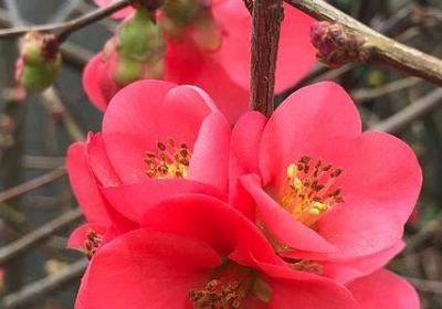 送行朋友上飞机祝福语(合集50句) 送行朋友上飞机祝福语(合集50句)