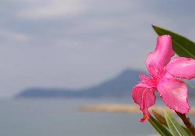 领导跳槽祝福语(汇总41句) 领导跳槽祝福语(汇总41句)