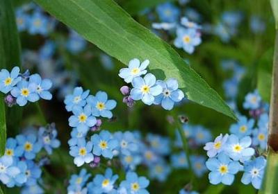 酒店祝福语大全(实用57句) 酒店祝福语大全(实用57句)