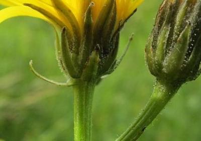 送闺蜜的祝福语(热门50句)