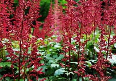 长辈生病出院祝福语(推荐50句)