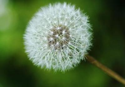 领导生日祝福语(精选60句)