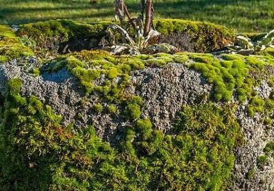 钓鱼的祝福语(精选50句)