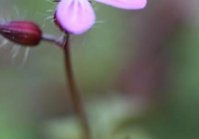 送鞋的祝福语(60句)