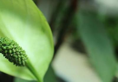 闺蜜结婚朋友圈祝福语(推荐40句)