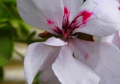 适合所有人的祝福语(共70句)