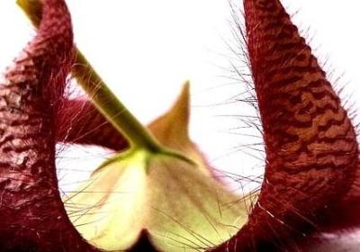 银婚纪念日祝福语(共40句)