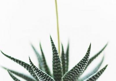 领导送别祝福语(合集24句)