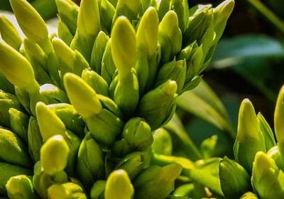 闺女生日祝福语(共50句)