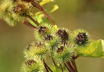 长辈祝福语(共39句) 长辈祝福语(共39句)