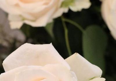 领导高升的离别祝福语(50句) 领导高升的离别祝福语(50句)