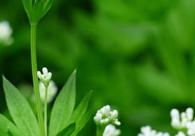 面试祝福语(汇总49句) 面试祝福语(汇总49句)