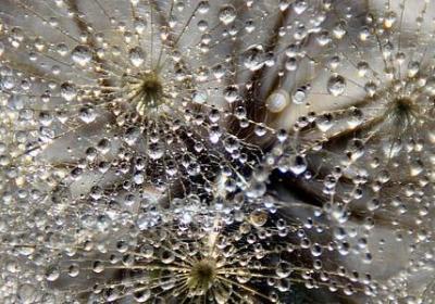 飞行祝福语(合集40句) 飞行祝福语(合集40句)