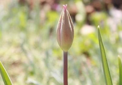 重阳节的祝福语(优选50句) 重阳节的祝福语(优选50句)