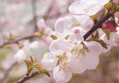 马上中考的祝福语(精选50句) 马上中考的祝福语(精选50句)