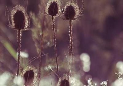 领导调离新岗位祝福语(汇总40句) 领导调离新岗位祝福语(汇总40句)