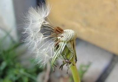 领导离职祝福语 简短(共60句)