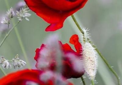 唯心主义的句子(优选50句)