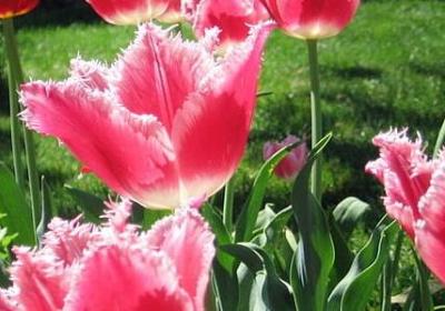 商品秒杀的句子(热门60句)