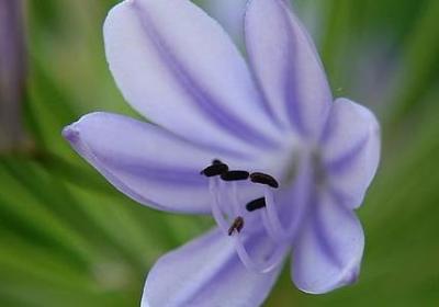 闺蜜结婚祝福语(优选70句)