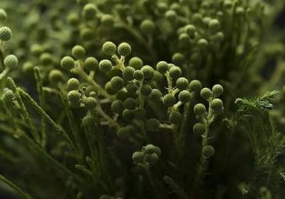 高考成功的祝福语(推荐70句)