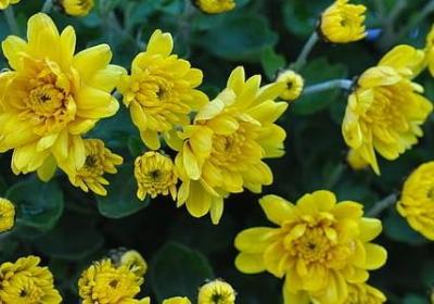 坐井观天的句子(合集50句)